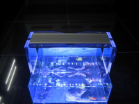 LED Aquarium Lamp | 12W | 283x69x9mmcm | VV 48W | Wit - Blauw